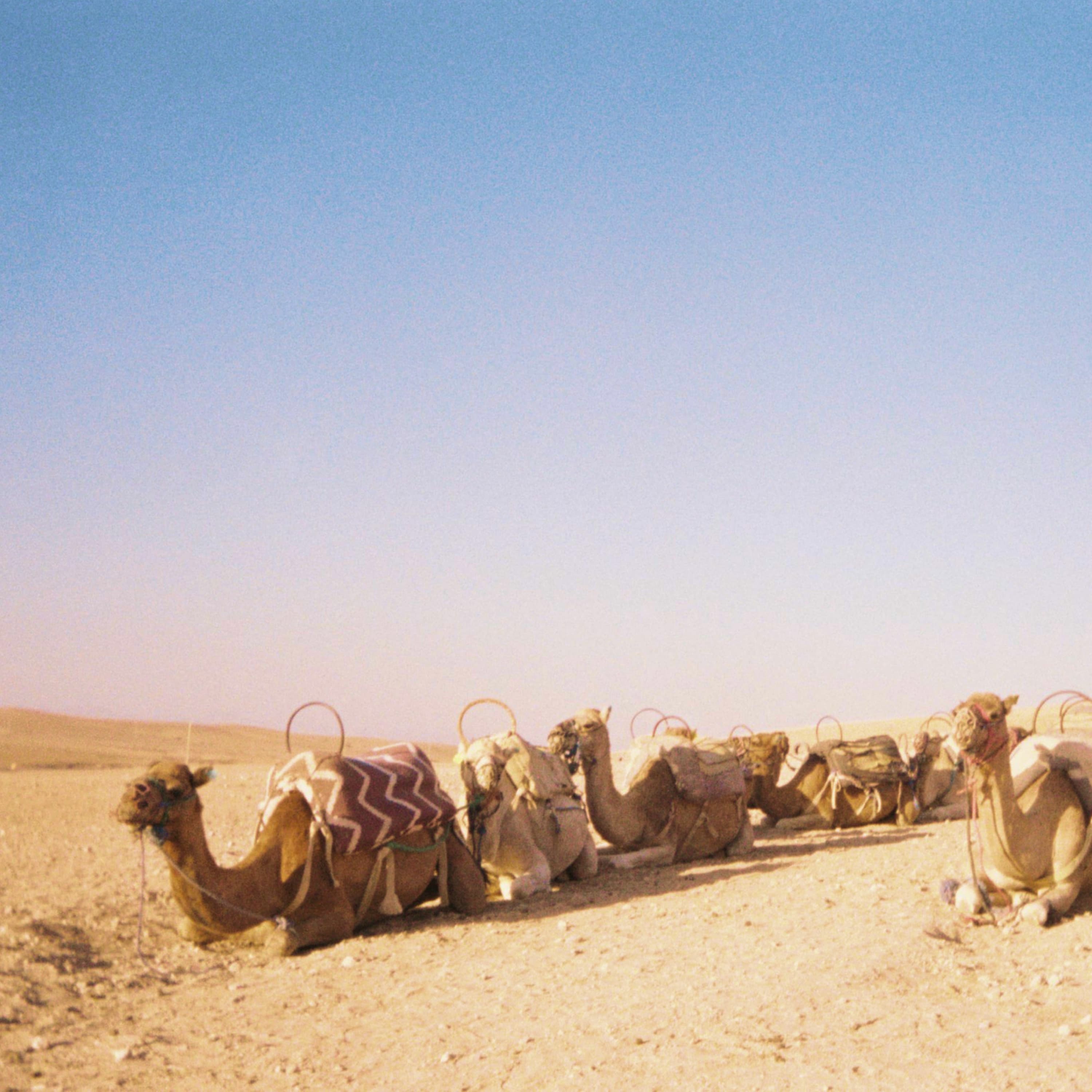 Capa de pó nos tapetes